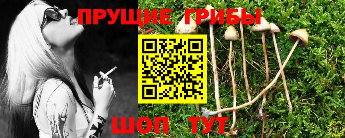 Бутират Россия